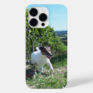 Capo von Oppenheim Jack Russell Terrier, Dog iPhone 14 Pro Max Case