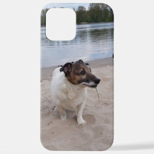 Capo von Oppenheim, Jack Russell Terrier Dog iPhone 12 Pro Max Case
