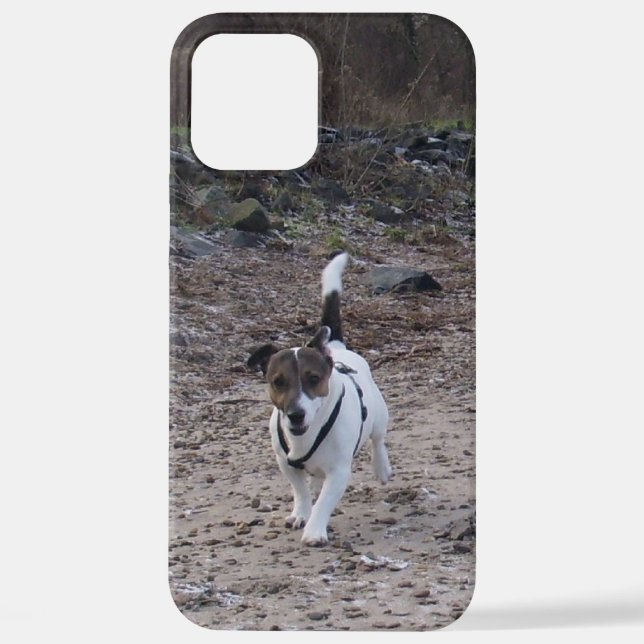 Capo von Oppenheim, Jack Russell Terrier Dog iPhone Case (Back)