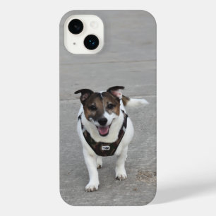 Capo von Oppenheim, Jack Russell Terrier Dog iPhone 14 Plus Case
