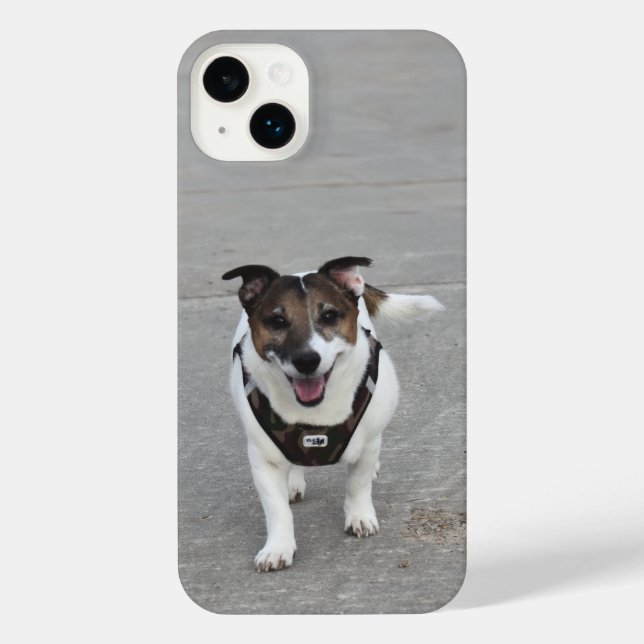 Capo von Oppenheim, Jack Russell Terrier Dog iPhone Case (Back)