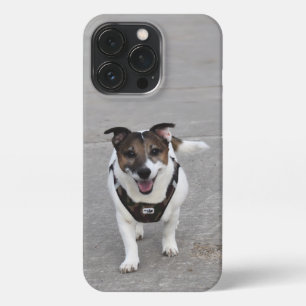 Capo von Oppenheim, Jack Russell Terrier Dog iPhone 13 Pro Case