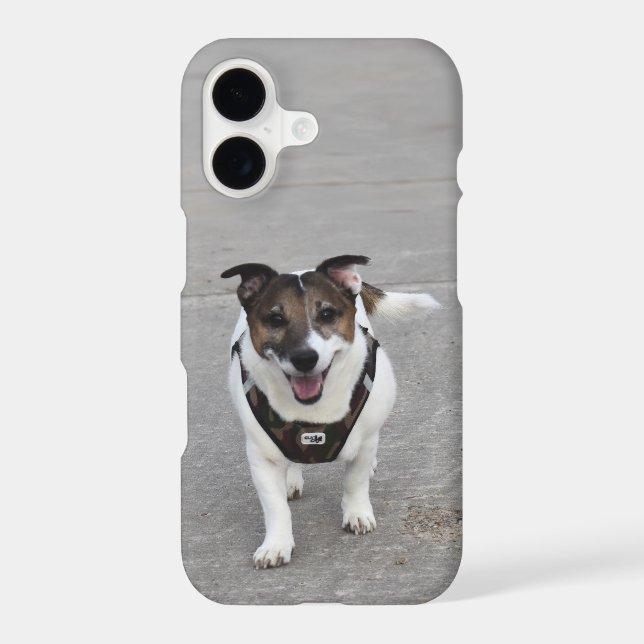 Capo von Oppenheim, Jack Russell Terrier Dog iPhone Case (Back)