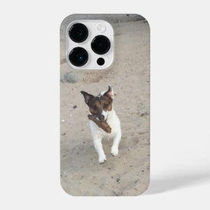 Capo von Oppenheim, Jack Russell Terrier Dog iPhone 14 Pro Case