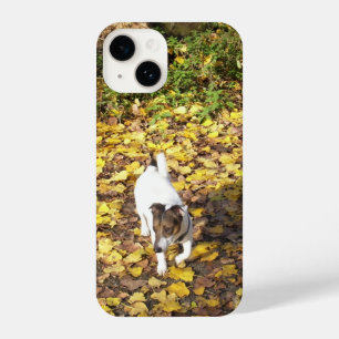 Capo von Oppenheim, Jack Russell Terrier Dog iPhone 14 Case
