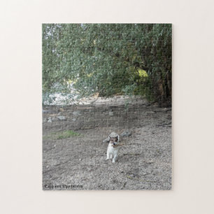 Capo von Oppenheim Jack Russell Terrier, Dog Jigsaw Puzzle