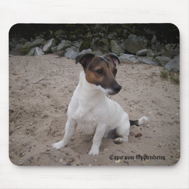 Capo von Oppenheim Jack Russell Terrier, Dog Mouse Pad (Front)