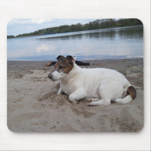 Capo von Oppenheim Jack Russell Terrier, Dog Mouse Pad