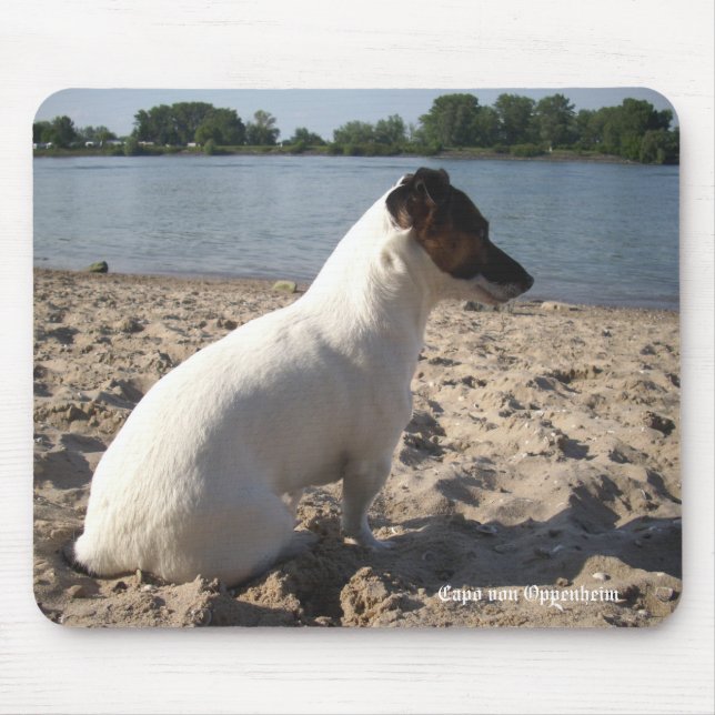 Capo von Oppenheim Jack Russell Terrier, Dog Mouse Pad (Front)