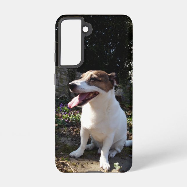 Capo von Oppenheim Jack Russell Terrier, Dog Samsung Galaxy S21 Case (Back)