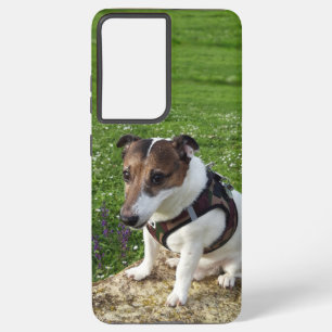 Capo von Oppenheim Jack Russell Terrier, Dog Samsung Galaxy Case