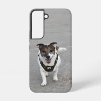 Capo von Oppenheim, Jack Russell Terrier Dog