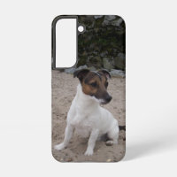 Capo von Oppenheim Jack Russell Terrier, Dog