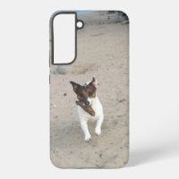 Capo von Oppenheim, Jack Russell Terrier Dog