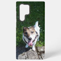 Capo von Oppenheim, Jack Russell Terrier Dog