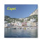 capri_island, Capri magnet