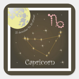 Capricorn 22 december fin 20 cubic stickers