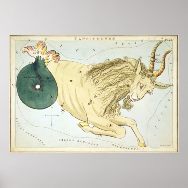 Capricorn Astrological Drawing Poster (Front)