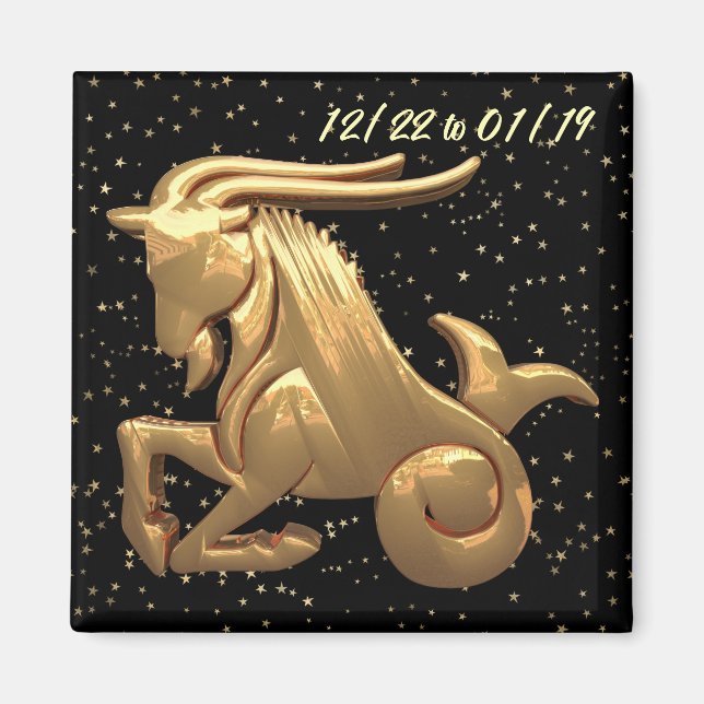 Capricorn Astrology 2 Magnet (Front)