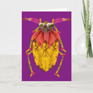 Capricorn Card
