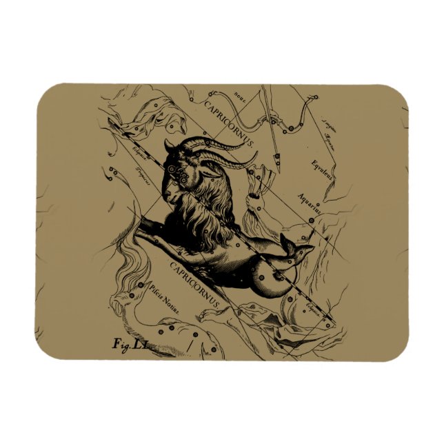 Capricorn Constellation Hevelius 1690 on Taupe Magnet (Horizontal)