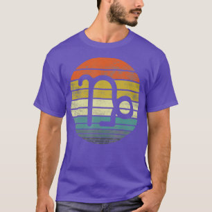 Capricorn Gifts Funny Retro Sunset Zodiac Sign T-Shirt