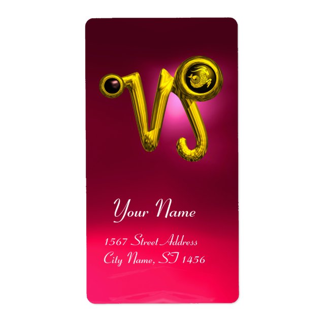 CAPRICORN GOLD ZODIAC JEWEL Black Onyx ,Red Ruby (Front)