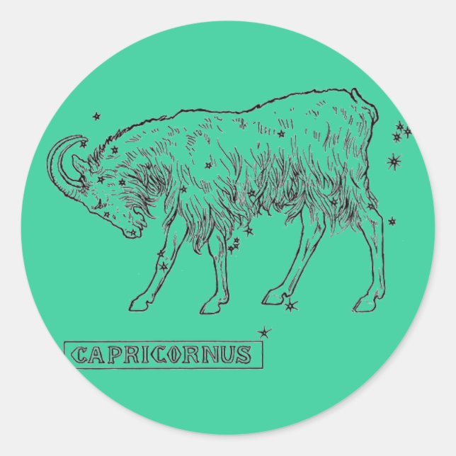 Capricorn Sticker (Front)
