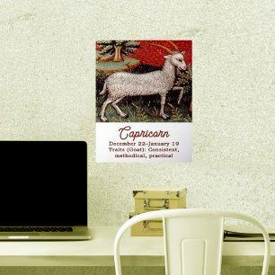 Capricorn the Goat Zodiac Sign Birthday Party