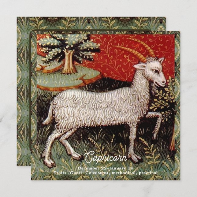 Capricorn the Goat Zodiac Sign Birthday Party Invitation (Front/Back)