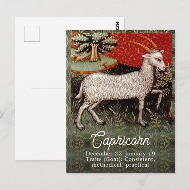 Capricorn the Goat Zodiac Sign Birthday Party Postcard (Front/Back)