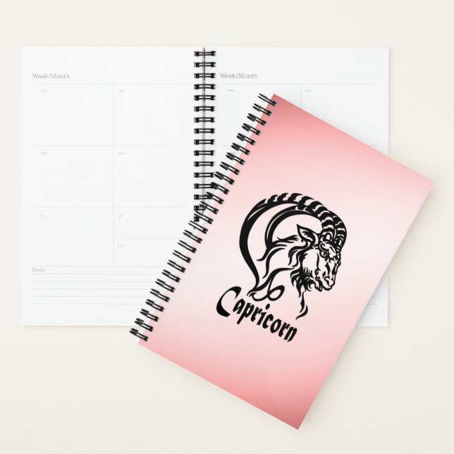 Capricorn the Sea Goat Zodiac Planner (Display)