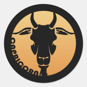Capricorn Zodiac Sign Classic Round Sticker