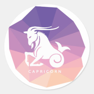 Capricorn zodiac sign modern stickers