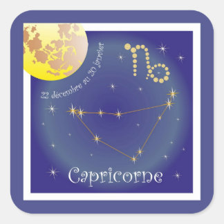 Capricorne 22 décembre au 20 janvier stickers