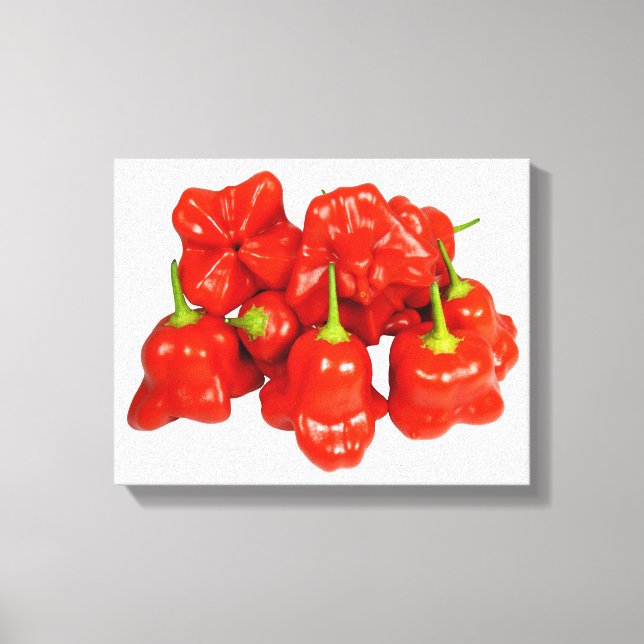 Capsicum Chinense Chili Stretched Canvas Print (Front)