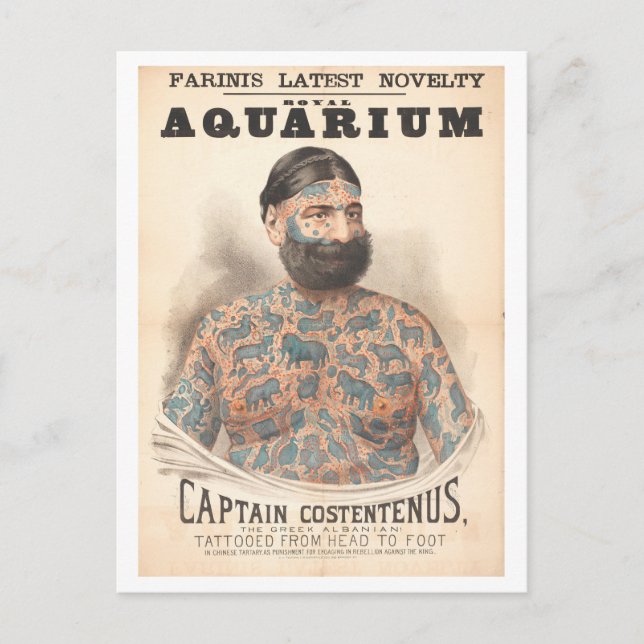 Captain Costentenus Tattooed Man Vintage Postcard (Front)