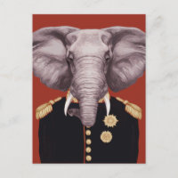 Captain Elephant
