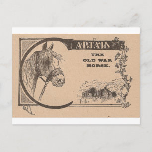 Captain The Old War Horse Postcard