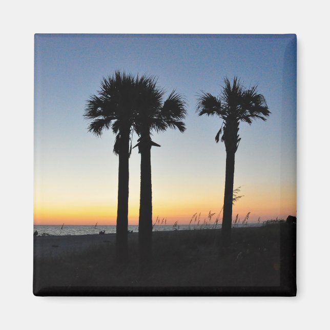 Captiva Island Palm Trees at Sunset Florida Magnet (Front)