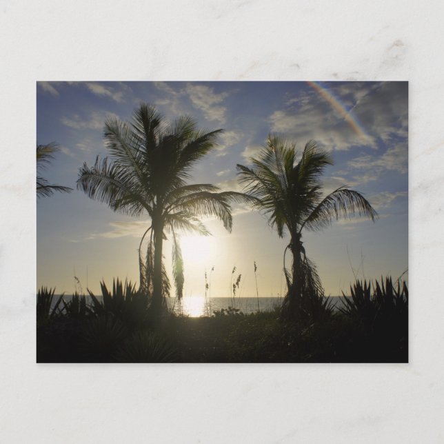 Captiva Island Postcard (Front)