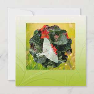 Captivating Luna Moth Flat Card