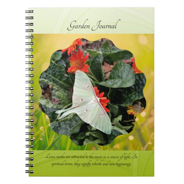 Captivating Luna Moth      Notebook (Front)