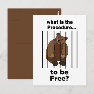 Captive Animal Bear Asking Procedure To Be Free Postcard