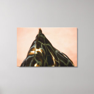 Captive animal canvas print