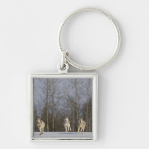 Captive, Duluth, Minnesota, USA 2 Key Ring