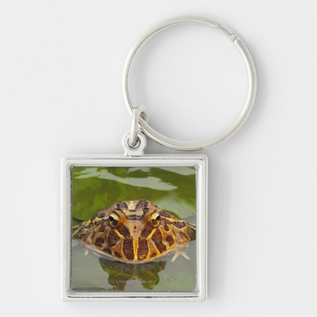 Captive, Nebraska, USA Key Ring (Front)