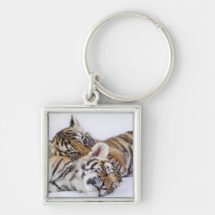 Captive, South Africa 4 Key Ring