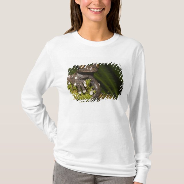 Captive Tapichalaca Tree Frog Hyloscirtus 3 T-Shirt (Front)