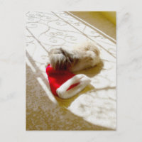 Captured Santa